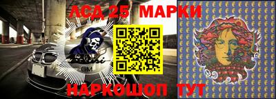 мяу мяу мука Кандалакша