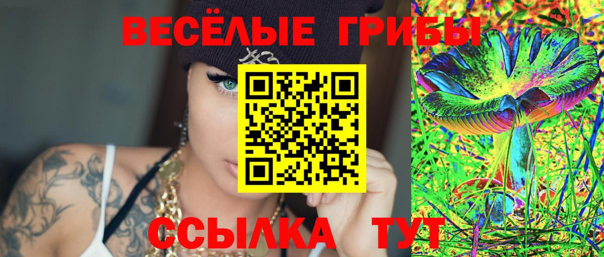 Псилоцибиновые грибы мицелий  Вход с VPN  где можно купить наркотик  Чапаевск  Псилоцибиновые грибы ЛСД 